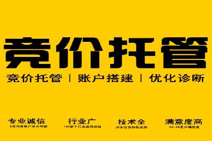 竞价代运营案例解析：中小企业如何快速崛起